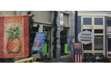 Logo for Enchanted Surroundings Logo for Enchanted Surroundings