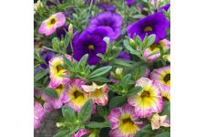 Logo for Reaves Lawn & Garden Inc. Logo for Reaves Lawn & Garden Inc.